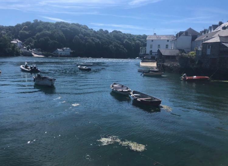 Fowey Landing Lejlighed Eksteriør billede